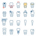 Tooth disease, vector