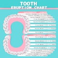 Tooth eruption chart Royalty Free Stock Photo