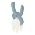 Tooth extraction icon, isometric style