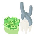 Tooth extraction icon isometric vector. Tooth clamped in medical forcep cash bag