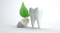 tooth with green leaf, health