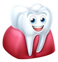 Tooth and Gum Cartoon Character Royalty Free Stock Photo