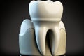 tooth that has been prepared for a dental crown. medical precision