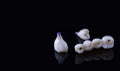 Tooth human implant. Dental concept. Ceramic human teeth or dentures. Implants on black background closeup Royalty Free Stock Photo