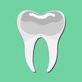 Tooth icon dentist flat sign symbol. vector illustration