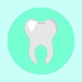 Tooth icon dentist flat sign symbol. vector illustration