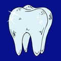 Tooth icon. Vector illustration of a healthy, shiny tooth. Hand drawn bleached healthy tooth.