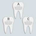 Tooth infographic. Design template.