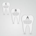 Tooth Infographic design template.