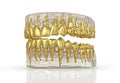 Tooth jaw with gold teeth 3d
