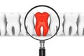 Tooth With Magnifying glass