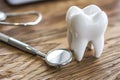 Tooth model with dental tools on wooden table Royalty Free Stock Photo
