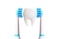 Tooth Model Between Two Electric Toothbrushes on White