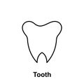 Tooth, organ icon. Element of human organ icon. Thin line icon for website design and development, app development. Premium icon Royalty Free Stock Photo