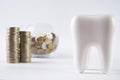 Tooth and piggy box with coins on isolate white