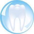 Tooth is protected by a glass sphere of dentistry