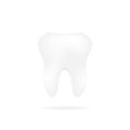 Tooth realistic icon. Dental realistic icons. Teeth in flat and linear design. - vector