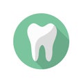 Tooth Round Flat Medical Icon Illustration Royalty Free Stock Photo