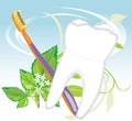 Tooth, toothbrush and mint sprig