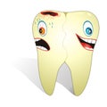 Tooth With Two Faces Royalty Free Stock Photo