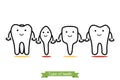 Tooth type - incisor, canine, premolar, molar - cartoon vector outline style