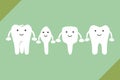 Tooth type - incisor, canine, premolar, molar