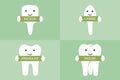 Tooth type - incisor, canine, premolar, molar