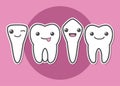 Tooth types illustration Royalty Free Stock Photo