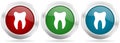 Tooth vector icon set. Red, blue and green silver metallic web buttons with chrome border