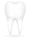 Tooth vector illustration Royalty Free Stock Photo