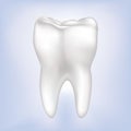 Tooth Vector illustration. Isolated. Royalty Free Stock Photo