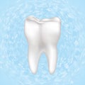 Tooth Vector illustration. Isolated. Royalty Free Stock Photo