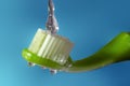 Toothbrush 03 Royalty Free Stock Photo