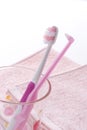 Toothbrush Royalty Free Stock Photo