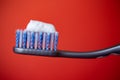 toothbrush with blue bristles and toothpaste on a red background Royalty Free Stock Photo