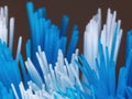 Toothbrush bristles Royalty Free Stock Photo