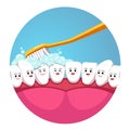 Toothbrush brushing teeth in mouth, inside view Royalty Free Stock Photo
