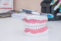 Toothbrush, Clean teeth denture, dental cut of the tooth, tooth model, and dentistry instruments in dentist`s office