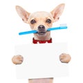 Toothbrush dog