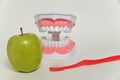 Toothbrush and green apple, dental care concept
