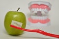 Toothbrush and green apple, dental care concept