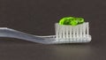 Toothbrush and green toothpaste isolated Royalty Free Stock Photo