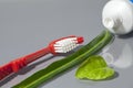 Toothbrush and open tube of toothpaste with green leaves Royalty Free Stock Photo