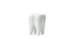 Toothbrush stand shaped like primary tooth close up isolated white background