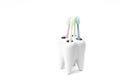 Toothbrush stand shaped like primary tooth with colorful toothbrushes