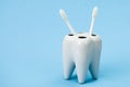 Toothbrush stand shaped like tooth two toothbrushes isolated on blue background