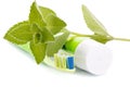 Toothbrush, toothpaste and fresh leaves of mint Royalty Free Stock Photo