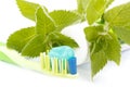 Toothbrush, toothpaste and fresh leaves of mint Royalty Free Stock Photo