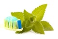 Toothbrush, toothpaste and fresh leaves of mint Royalty Free Stock Photo