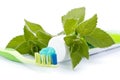 Toothbrush, toothpaste and fresh leaves of mint Royalty Free Stock Photo